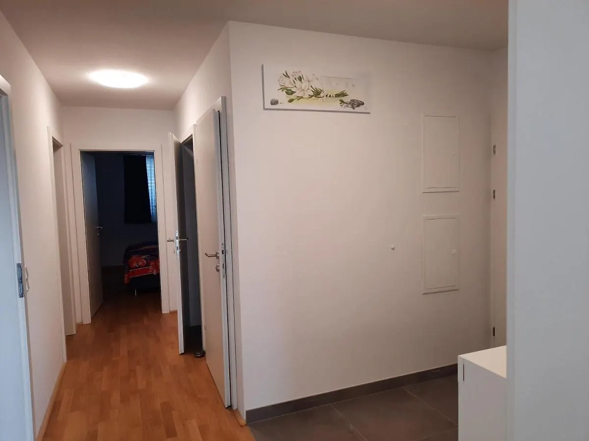 Vienna Lion Apartment 0*,